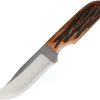 Hunting Knives * | Azlbkajb Anza Fixed Blade Knife Amber Bone