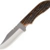 Hunting Knives * | Azjwk2Ajb Anza Fixed Blade Knife Amber Bone