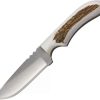 Hunting Knives * | Azjwk4Fe Anza Fixed Blade Knife