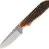 Hunting Knives * | Azsp3Ajb Anza Fixed Blade Knife Amber Bone