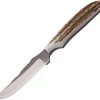 Hunting Knives * | Az711Fe Anza Fixed Blade Knife