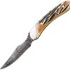 Hunting Knives * | Bc5009D Bear & Son Damascus Caper Knife India Stag Handle